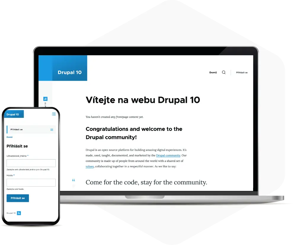 Školení pro Drupal