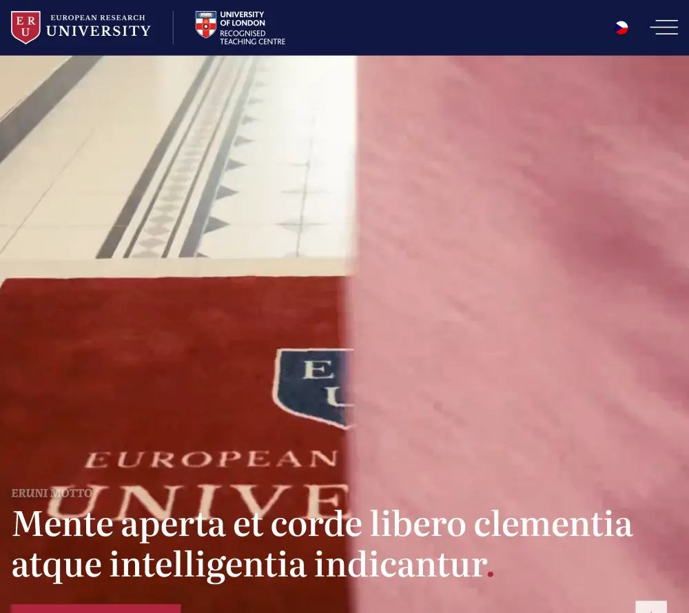 Realizace webu Eruni