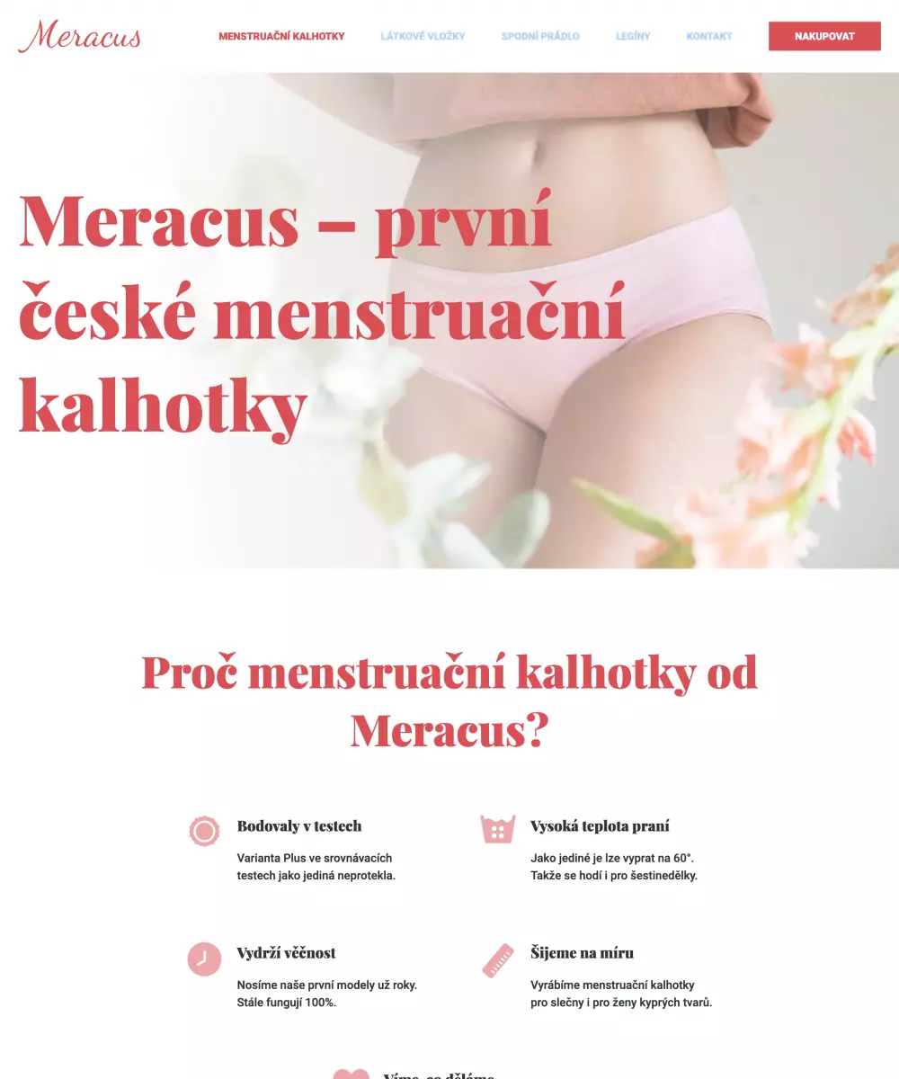 Realizace webu Homepage